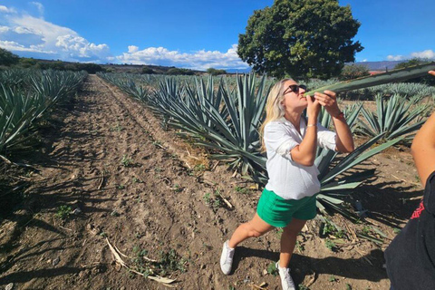 Oaxaca: Hierve el Agua, Mezcal Distillery, and Lunch Tour