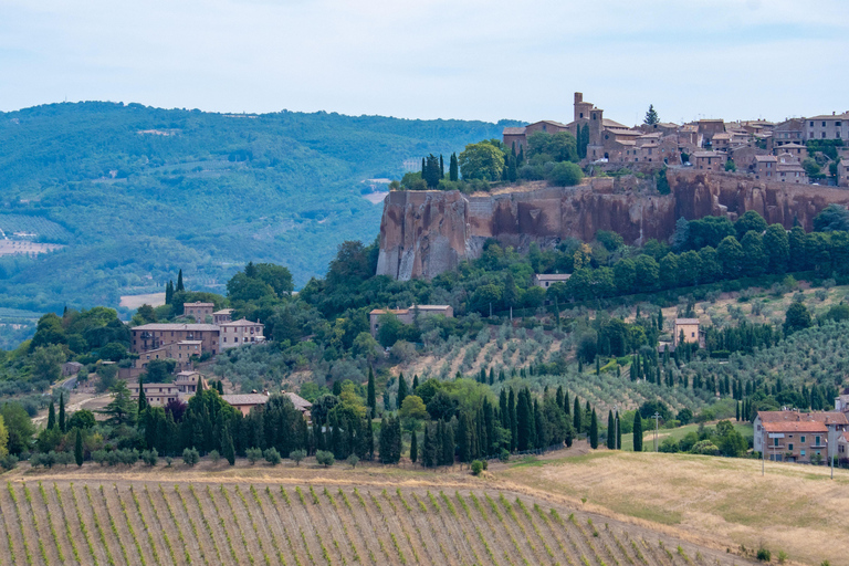 Private Day Trip from Rome: Orvieto & Civita di Bagnoregio