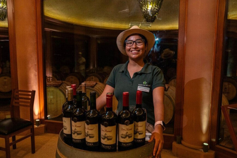 Ica: Tacama and CulturPisco Sightseeing Tour with Wine and Pisco Tasting