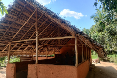 Kandy; excursão de um dia a Sigiriya e safári com elefantes