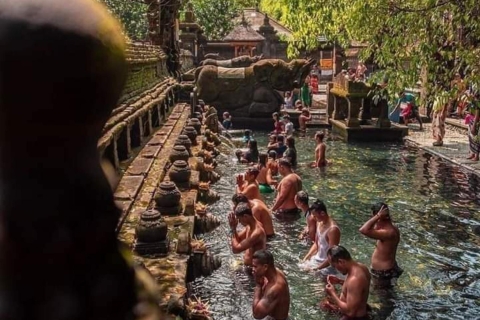 Ubud : Das Beste von Ubud Dorf, Kultur und Wasserfall TourenOption nur Privatwagen und Fahrer
