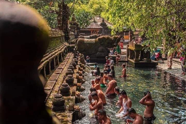 Ubud : Das Beste von Ubud Dorf, Kultur und Wasserfall TourenOption nur Privatwagen und Fahrer