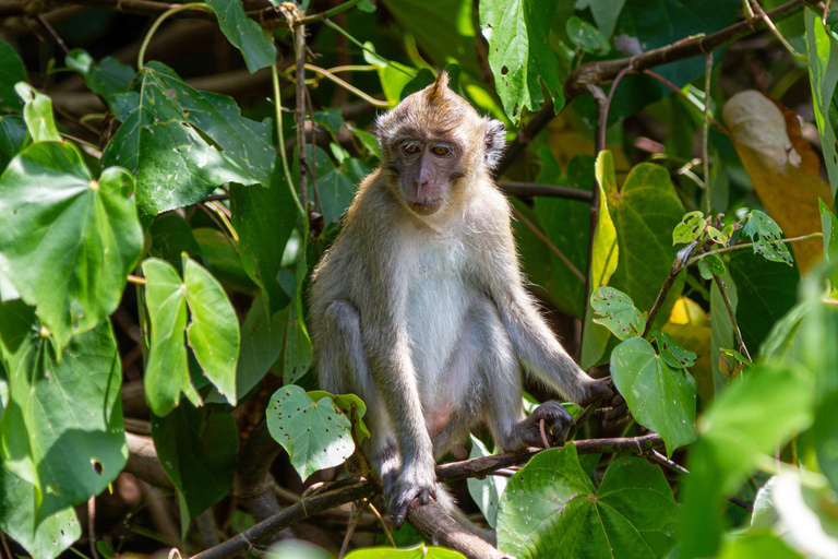 Mauricio: 5 excursiones por las islas