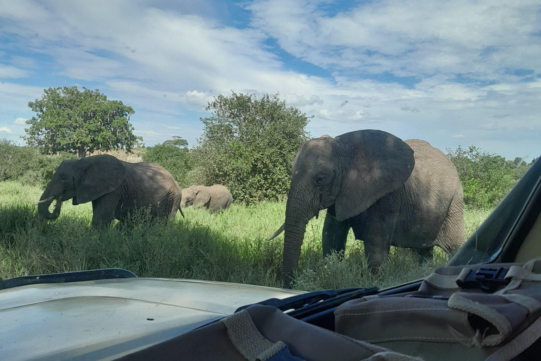 Arusha: Coffee tour, Mangalia water falls & Tarangire NP