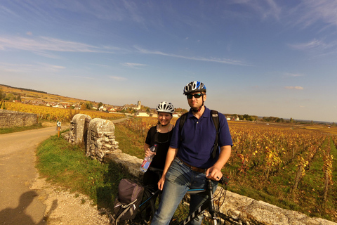 Beaune: Winery Tour by Bike with Wine Tasting
