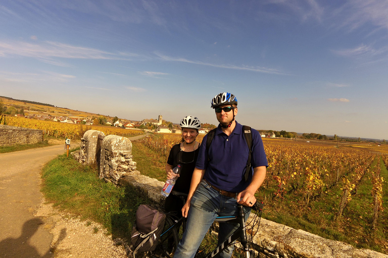 Beaune: Winery Tour by Bike with Wine Tasting