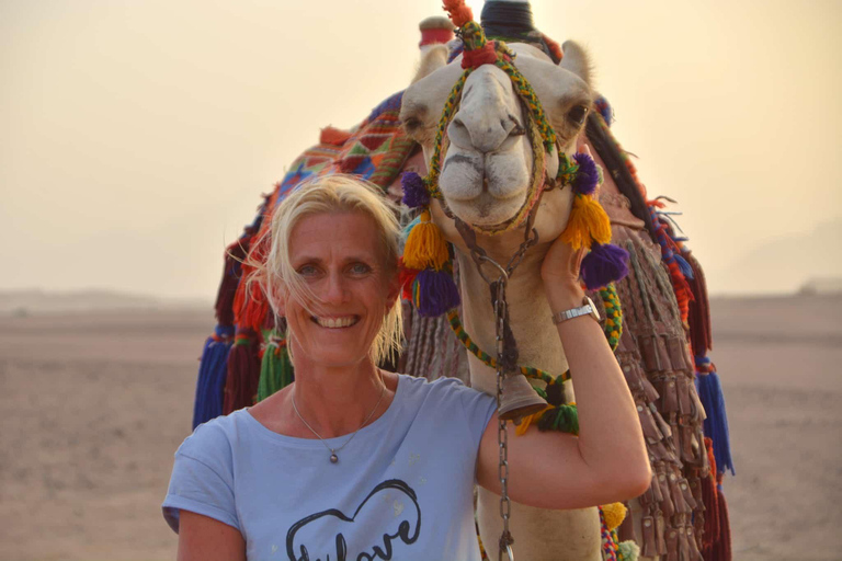 Hurghada: przejażdżka na wielbłądzie w obozie BADU, kolacja i obserwacja gwiazd