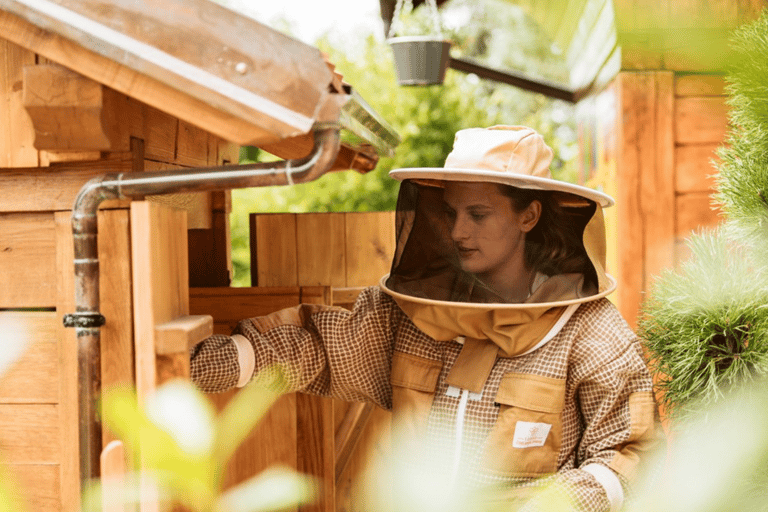 Aus Ljubljana: Alles über Bienen