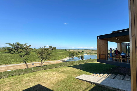 JOIN TOUR 1 day trip around Chiang Rai included lunch buffet