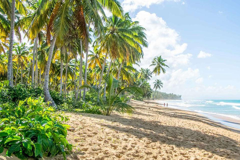 Private: Puerto Plata ATV Tour with Monkey Sanctuary & Lunch