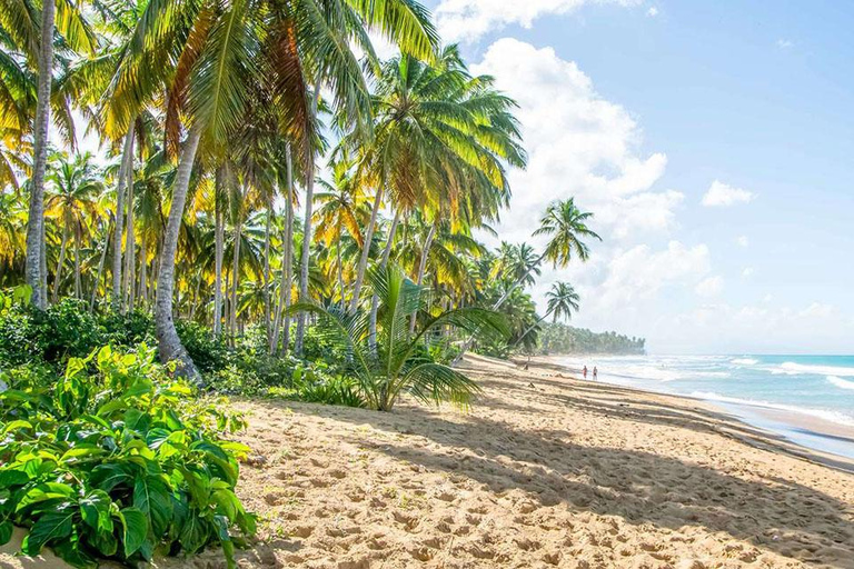 Private: Puerto Plata ATV Tour with Monkey Sanctuary & Lunch