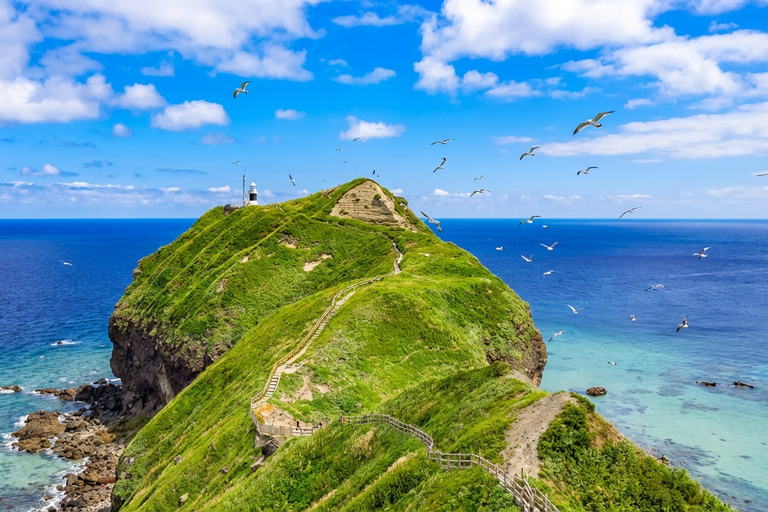 Romantic Day Trip Departing from Otaru, Hokkaido Meet at Exit 31 of Odori Park Subway Station at 8:00 a.m.