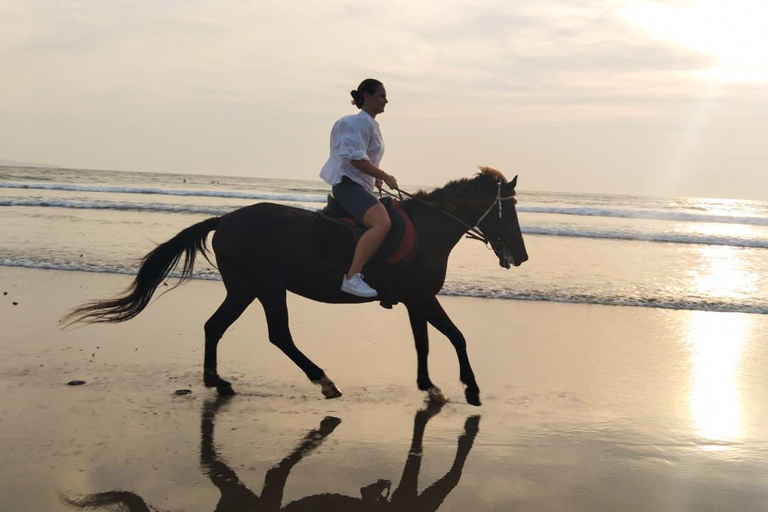 Bali: Paardrij tour op Seminyak strand inclusief vervoerBali: Paardrijden 1 uur Inclusief vervoer