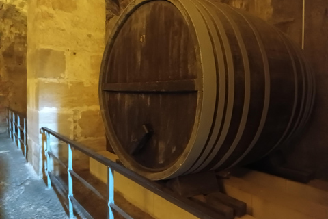 From Dresden: Table mountains Lilienstein & Königstein tour