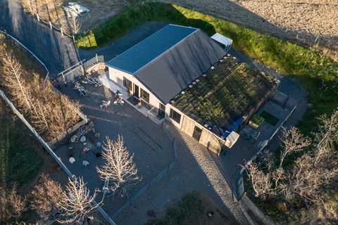 Reykjavík: Husky Kennel Visit with Hot Drinks