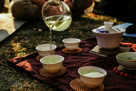 Nara: Deer, Photos, and Japanese Tea Social Experience