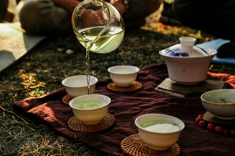 Nara: Deer, Photos, and Japanese Tea Social Experience