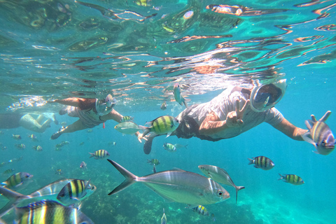 From Khao Lak: Phi Phi, Maya bay & Khai island Day Trip