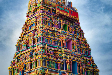 Mauritius: Port Louis, Temple, & Sugar Museum Private Tour