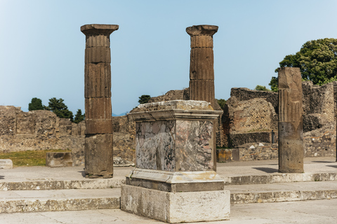 Vanuit Rome: Dagtrip Pompeii en de Vesuviusberg met lunchPompeii & Vesuvius met kegelwandeling