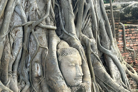 L&#039;incredibile tour degli antichi templi di Ayutthaya: Da BangkokGruppo privato con guida in inglese