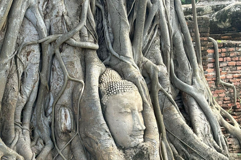 L&#039;incredibile tour degli antichi templi di Ayutthaya: Da BangkokGruppo privato con guida in inglese