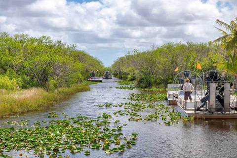 Von Miami aus: Everglades Wildlife Show, Airboat & BustransferHalbtagestour durch die Everglades