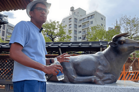 Tokyo Shrine & Temple Tour: Explore Hidden Spiritual Gems