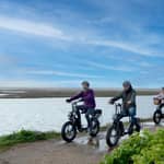 New Forest: degustazione di birra e safari gastronomico in e-bike