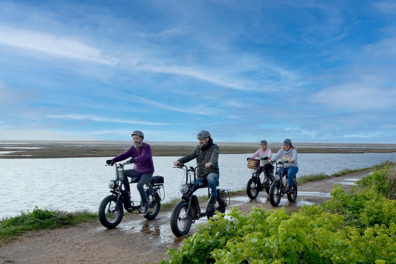 New Forest: Ganztägiger E-Bike-Verleih