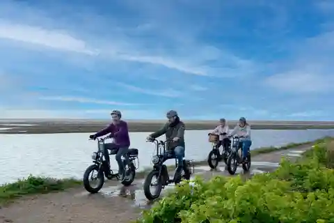 New Forest National Park: Full-Day E-Bike Rental