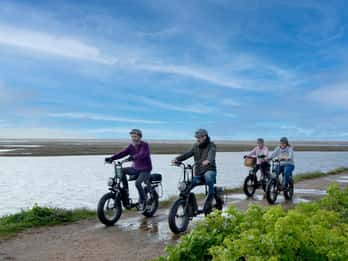 Parque Nacional New Forest: alquiler de bicicletas eléctricas durante todo el día