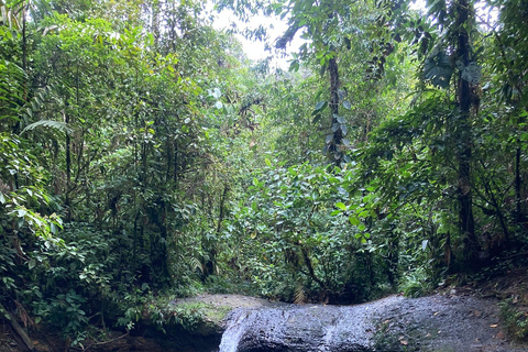 From Cali: Private VIP Motorcycle Adventure to San Cipriano, Pacific Jungle