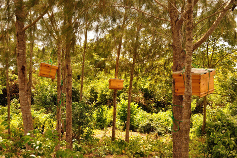 Sansibar: Kiwengwa-Wald- und Strand-TourSansibar: Kiwengwa-Wald und Strand-Tour