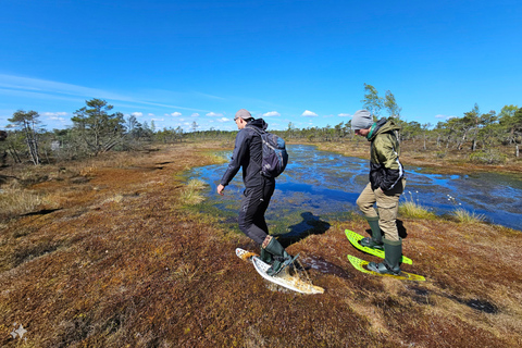 Ķemeri Bogs Adventure: Explore Wetlands In Bog Shoes