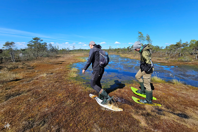 Ķemeri Bogs Adventure: Explore Wetlands In Bog Shoes