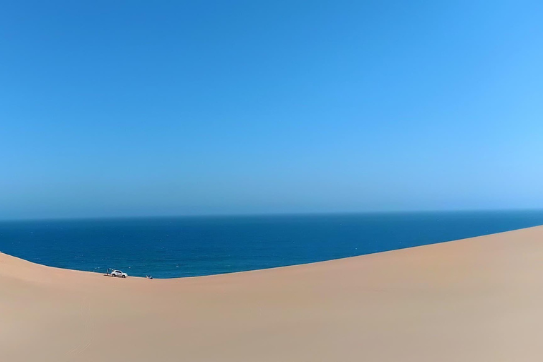 Small Group Sandwich Harbour 4x4 tour where dunes meet ocean