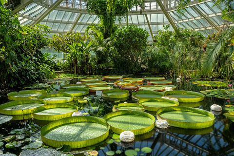 Brussels: Meise Botanic Garden Entry Ticket