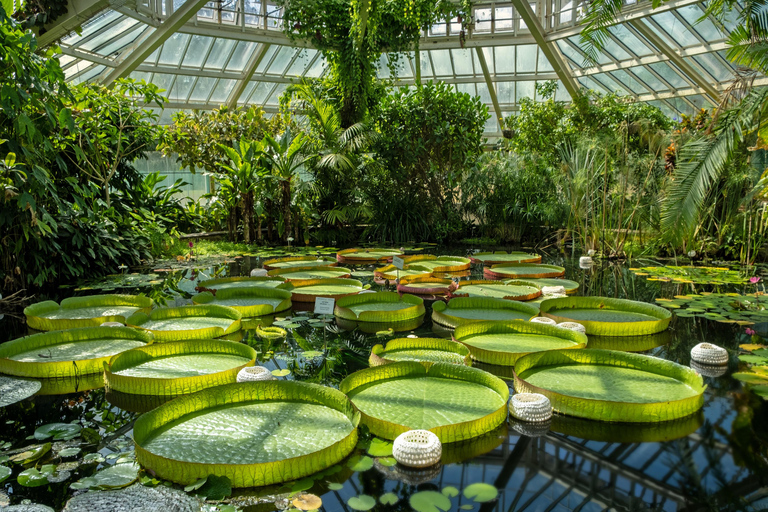 Brussels: Meise Botanic Garden Entry Ticket