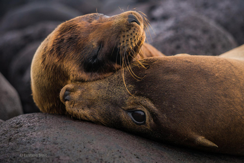 San Cristobal: Highlands, Beach, and Snorkeling Tour