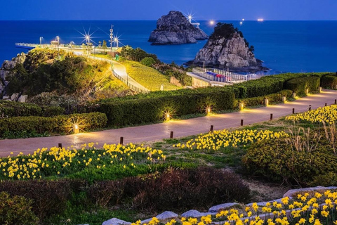 Pusan: prywatna wycieczka dostosowana do Twoich potrzeb – półdniowa/całodniowaCałodniowa prywatna wycieczka po Busan z odbiorem i transportem powrotnym