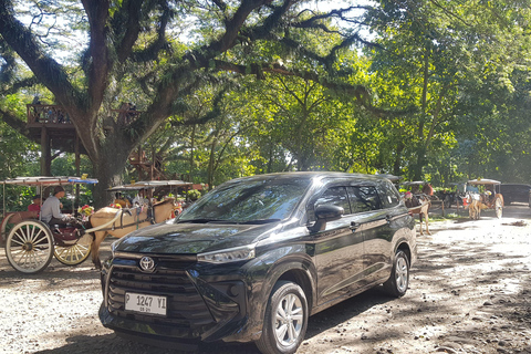 Explore Banyuwangi By Menara Timur Tour & Travel