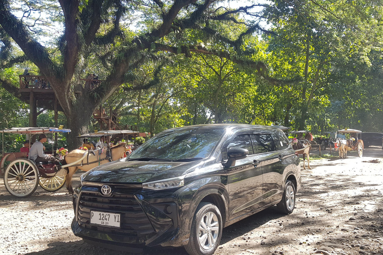 Explore Banyuwangi By Menara Timur Tour & Travel