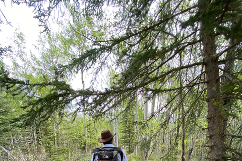 Privat rundtur - Det bästa av Banff National Park