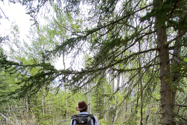 Tour privato - Il meglio del Parco Nazionale di Banff