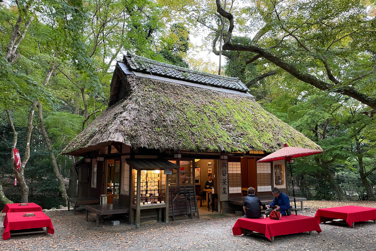 Nara: Halvdag med lokal guide – Big Buddha, hjort, helgedom, skogNara: Halvdag lokal guide- Stora Buddha, hjort, helgedom, skog