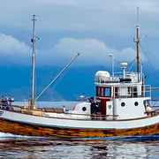 Henningsvær: Fishing trip + free (self caught) fish soup
