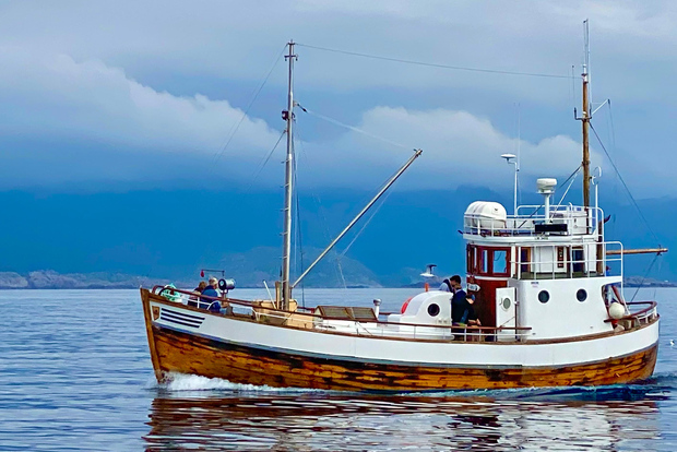 Henningsvær: Fishing trip + free (self caught) fish soup
