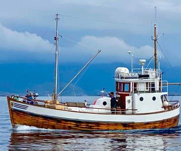 Excursión de pesca desde Henningsvær