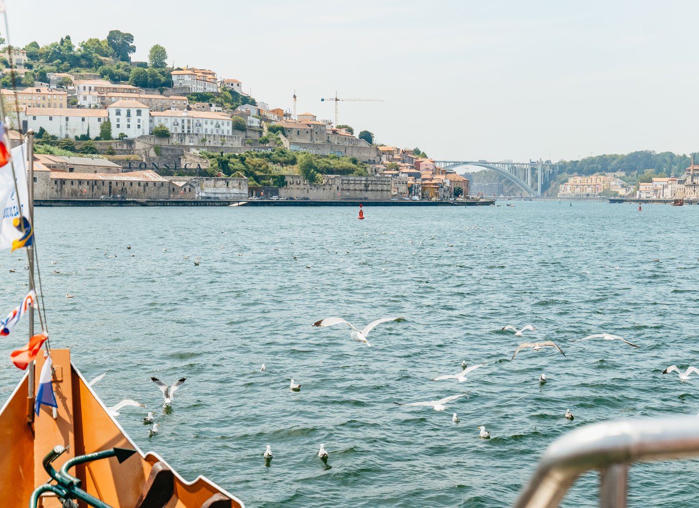 Porto: Krydstogt på Douro-floden med 6 broer